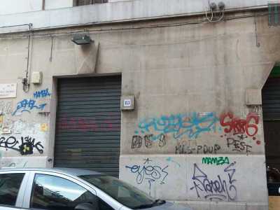I "graffitari" lasciano la propria �tag� (la firma) in maniera quasi ossessiva, al solo scopo di �marchiare il territorio". Mamba � quello pi� attivo, ma ci sono anche Okno, Pest, Leyes... 